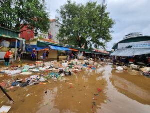 Diệt côn trùng sau bão