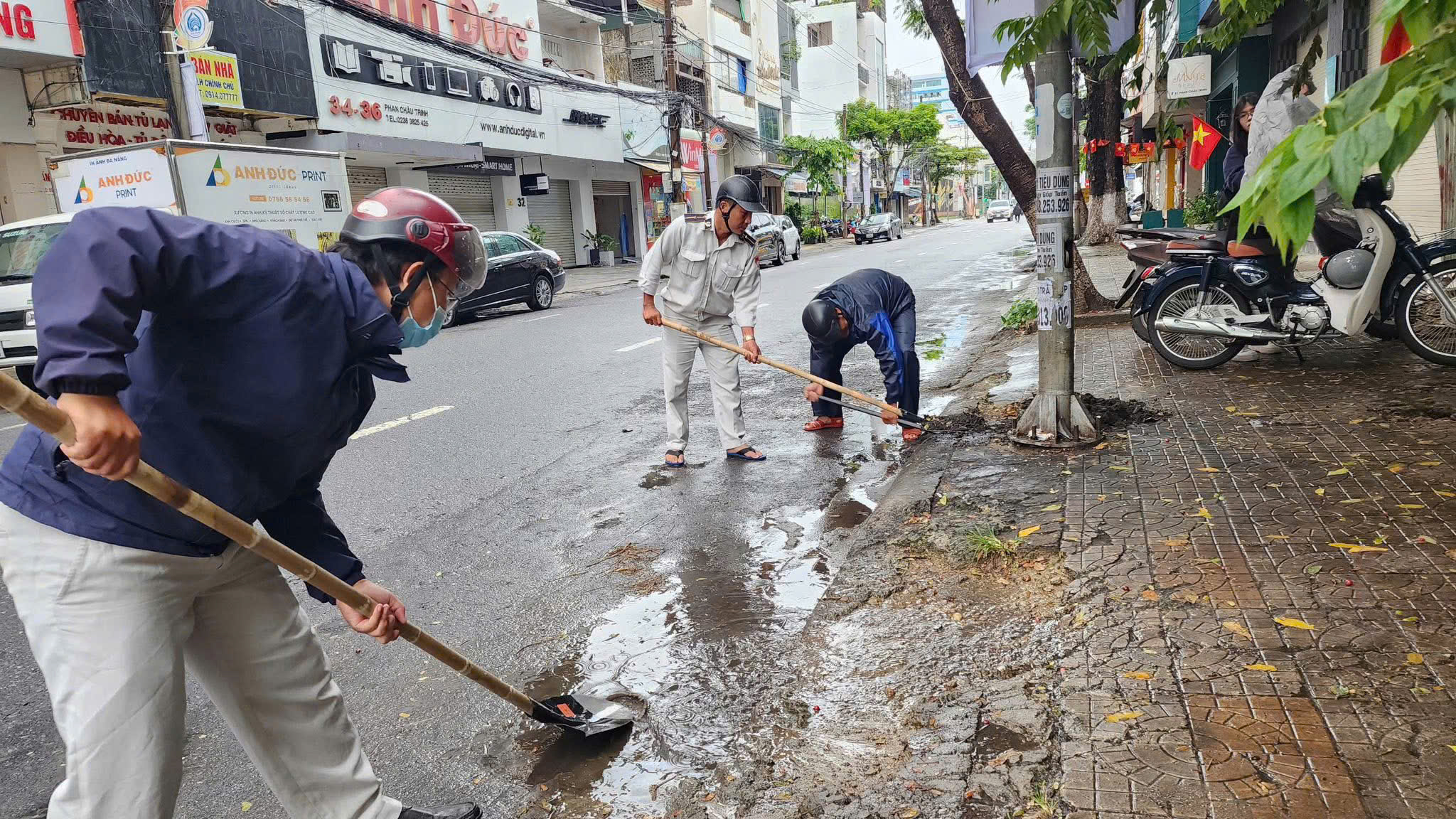 Diệt côn trùng sau bão